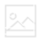 Upcoming Exhibitions